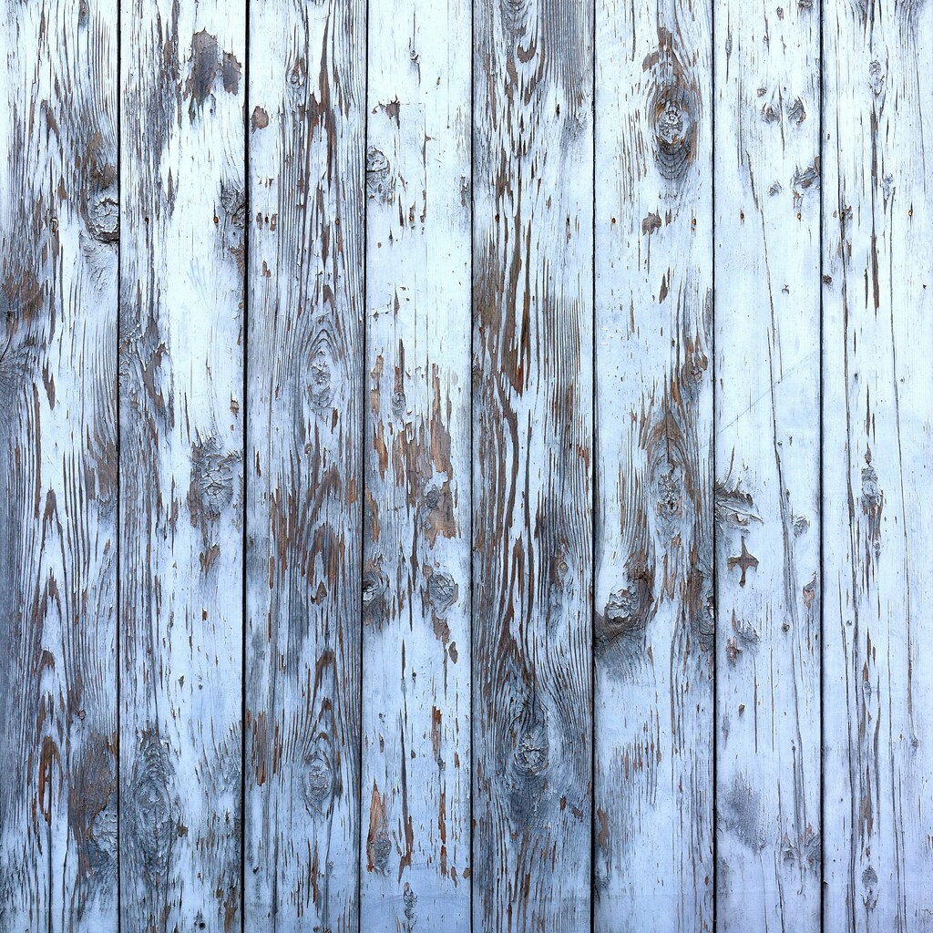 majid gheidarlou ikrbS SOQlc unsplash
