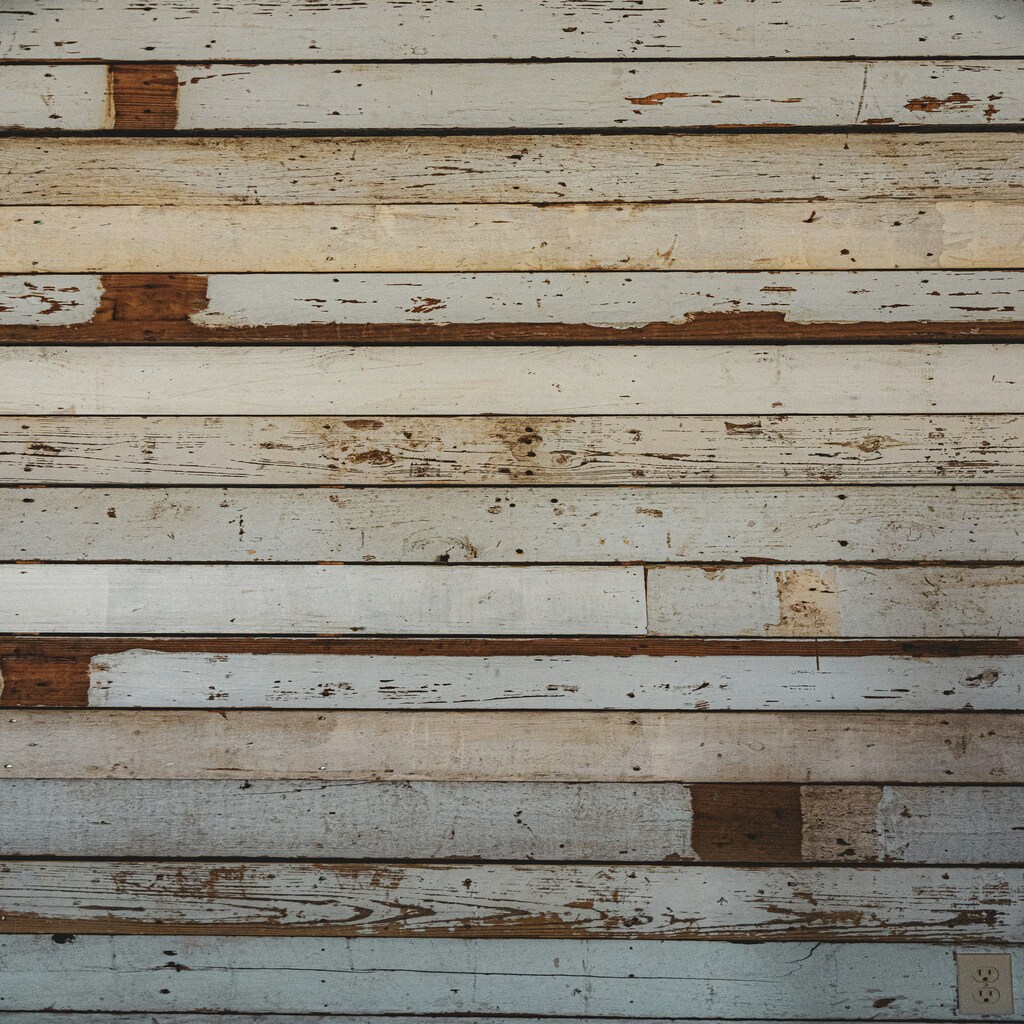 terren hurst mf Mb mNCFg unsplash