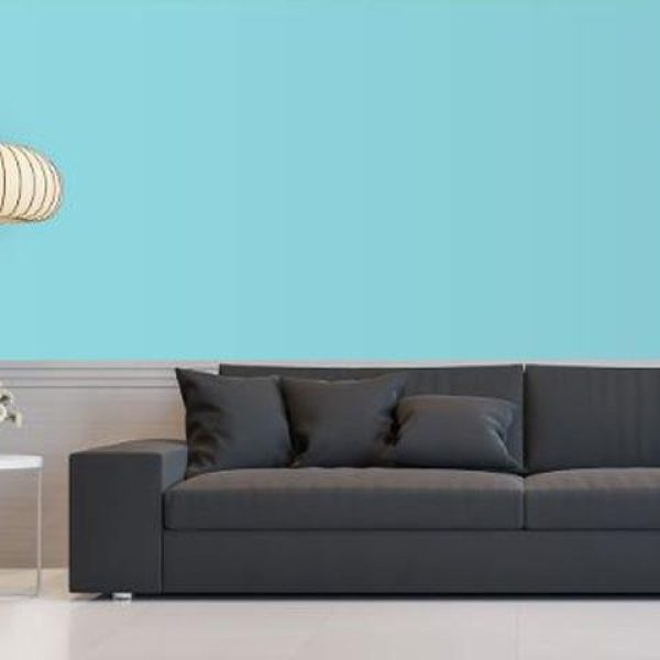 Intreior painting servies